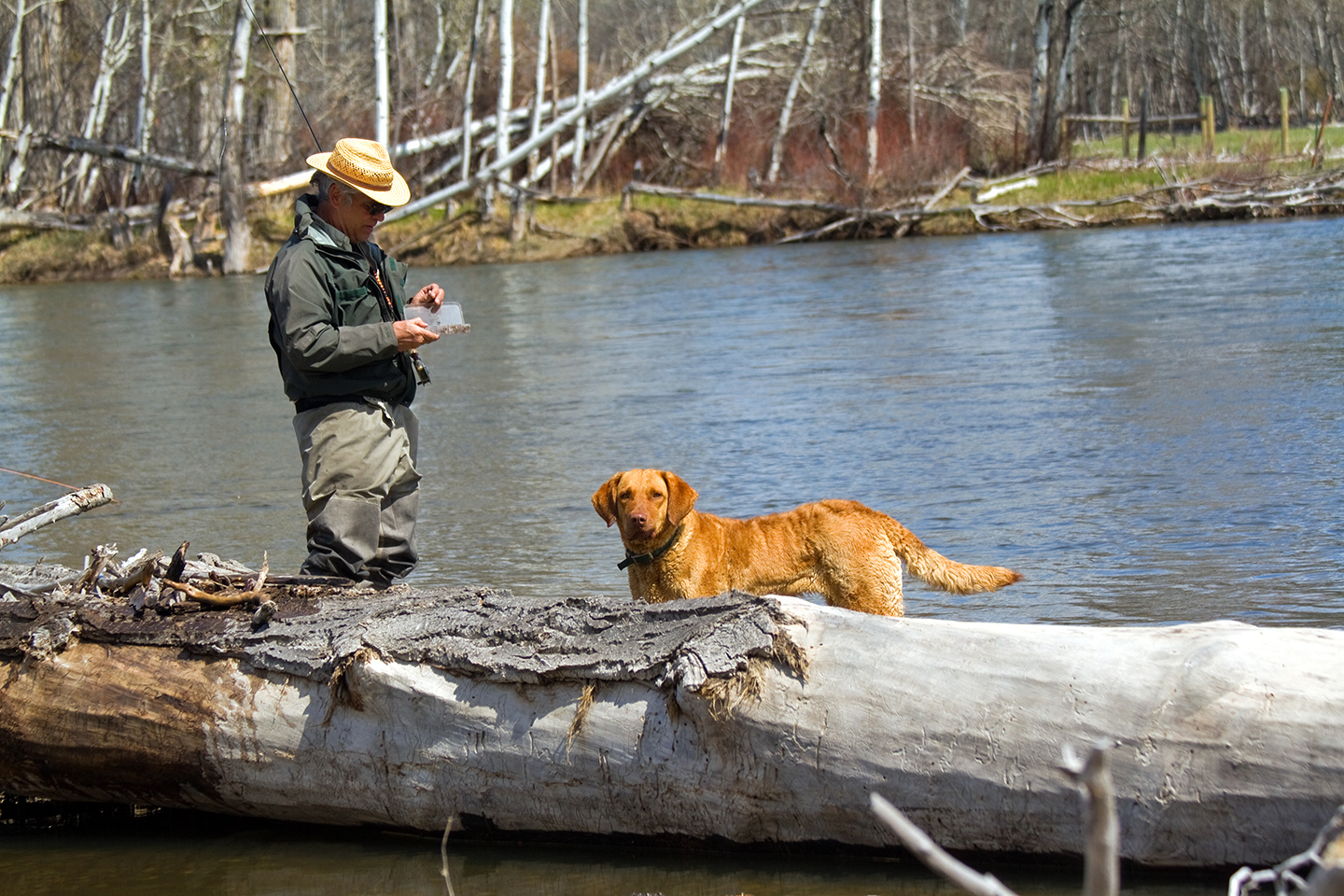 Freda and Jack picking out a dry fly