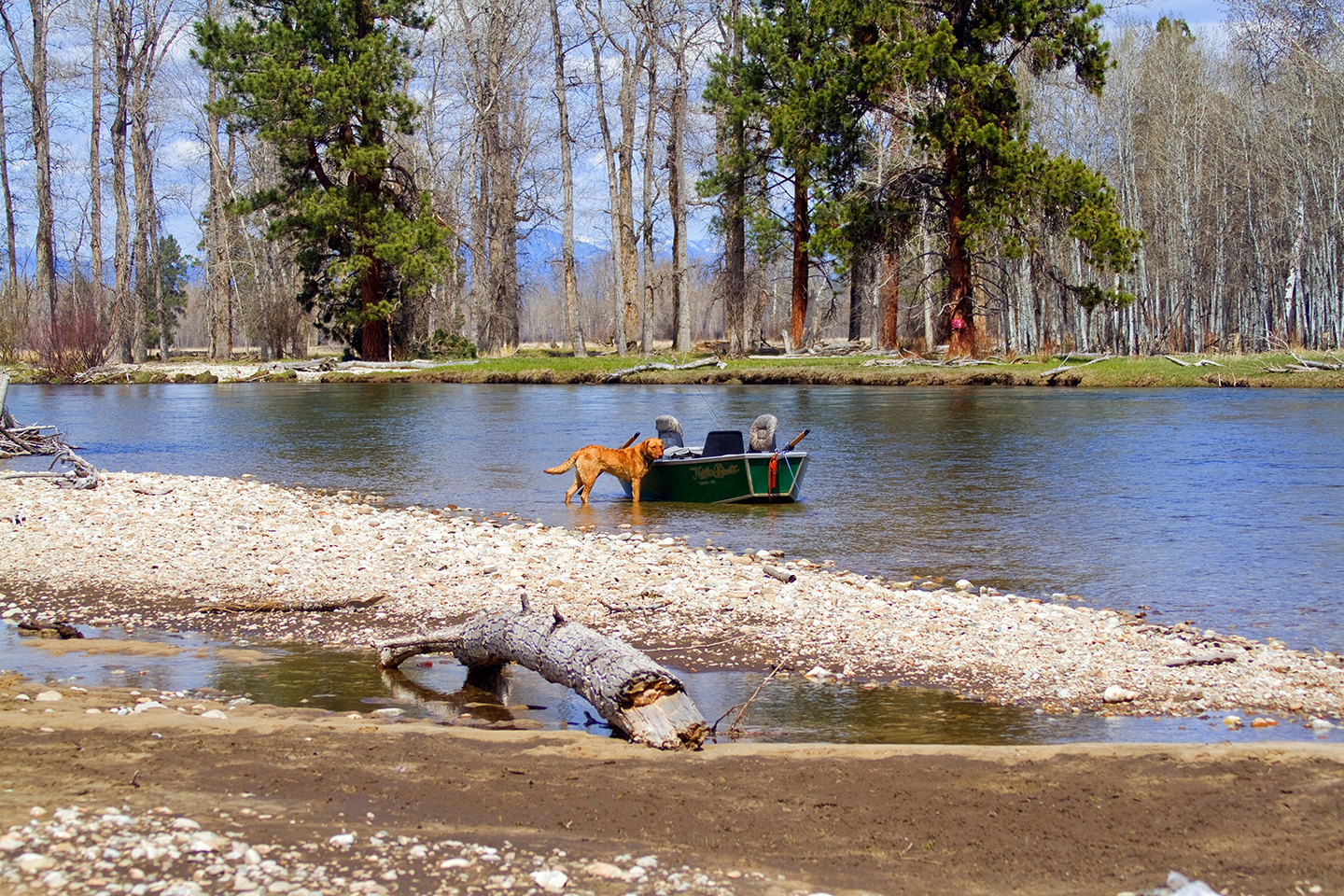 Middle Bitterroot River - Wapiti Waters' photo by Merle Ann Loman
