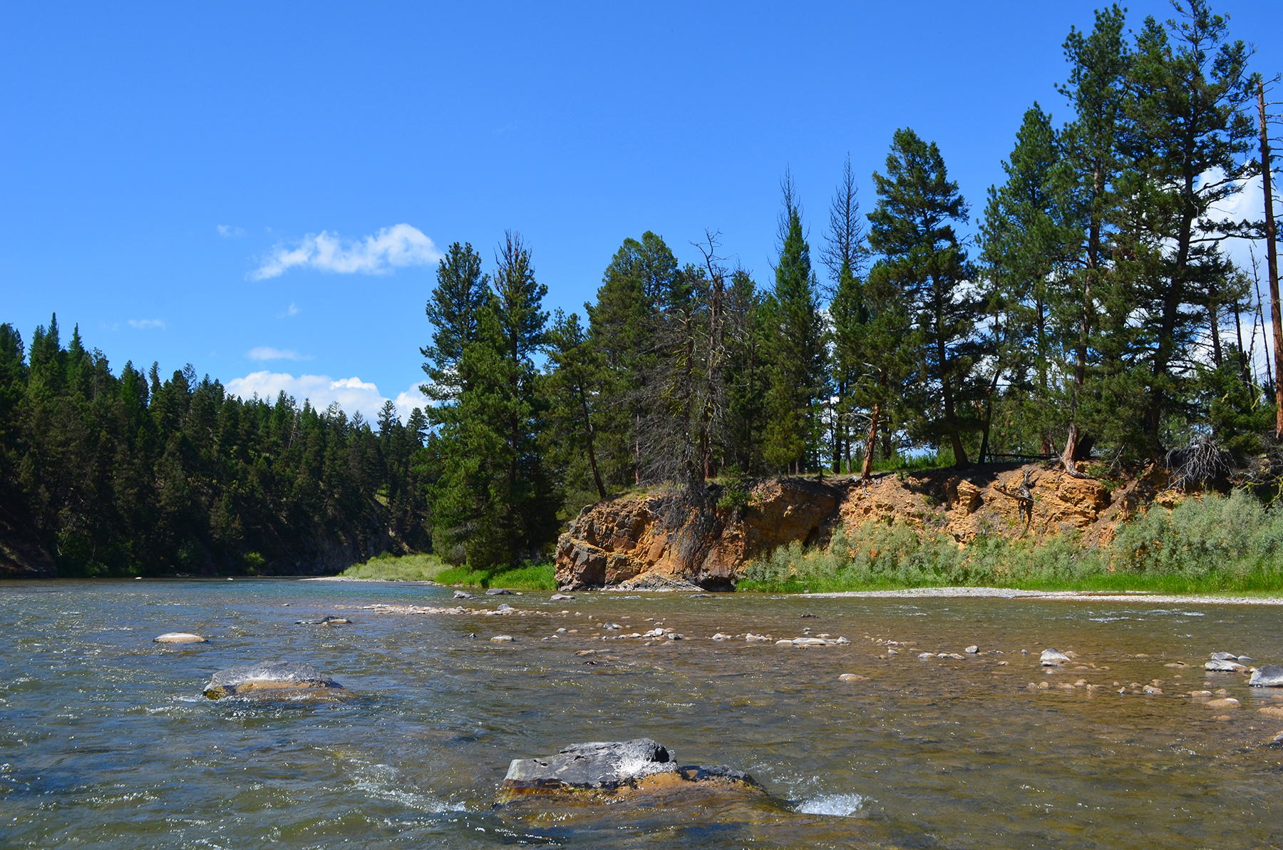 Blackfoot River