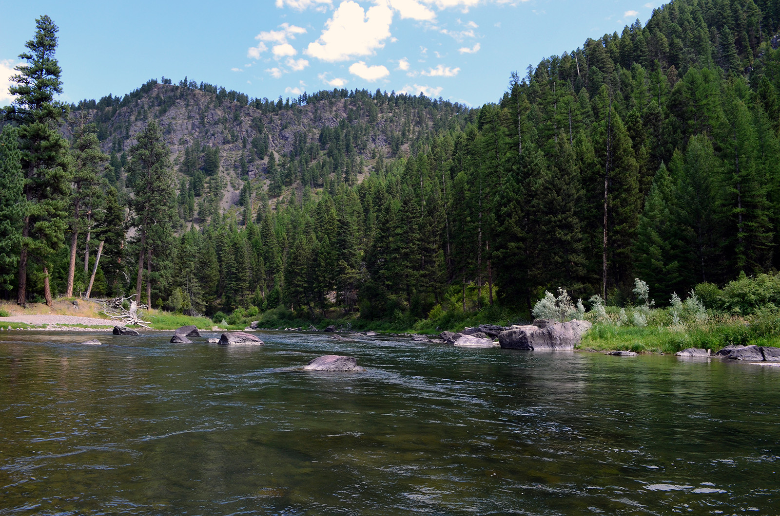 Blackfoot River - Wapiti Waters photo