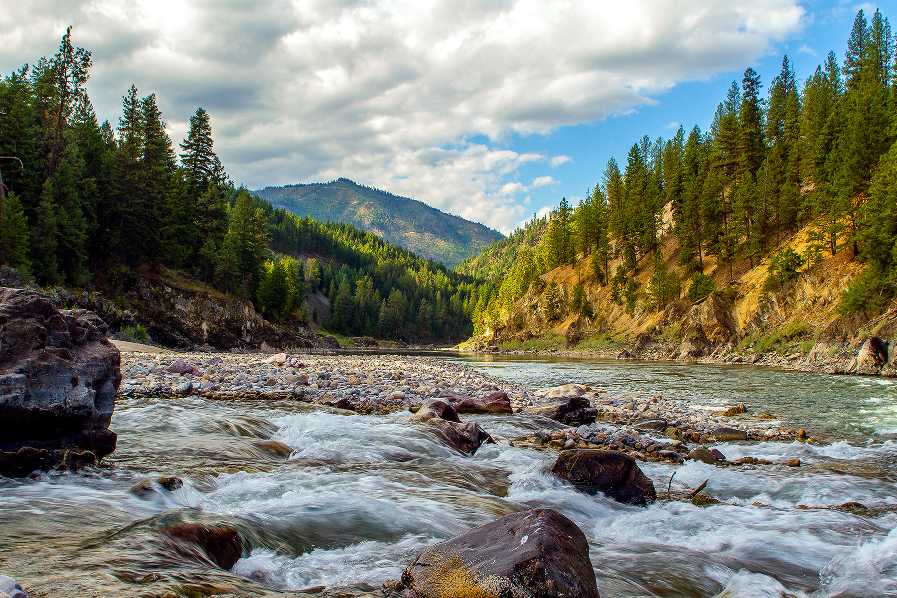 Clark Fork River west of Fish Creek - Wapiti Waters photo by Merle Ann Loman