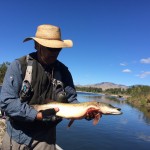 Jack with a pike